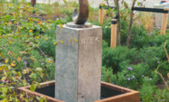 DSC08037